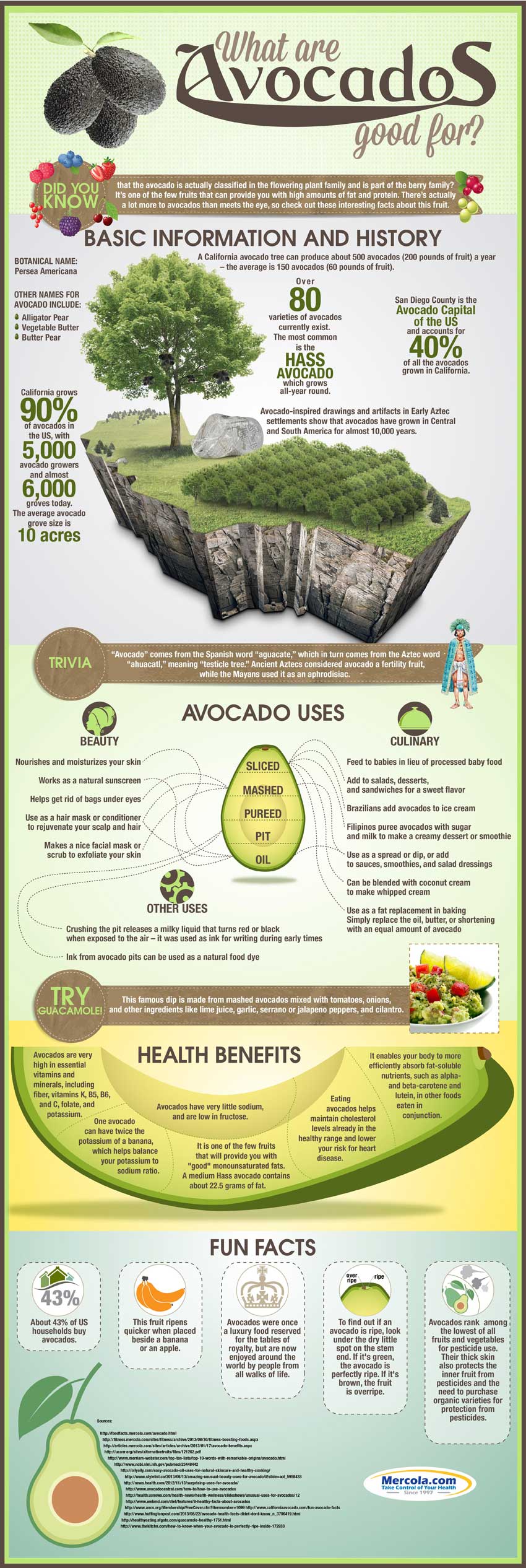 Avocado uses and Health benefits