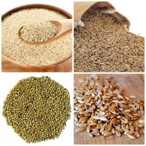 Whole grains - Quinoa - Rye - Sorghum - Spelt