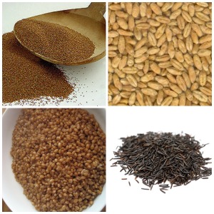 Whole grains Teff - Triticale - Wheat Berries - Wild Rice - SmallSize