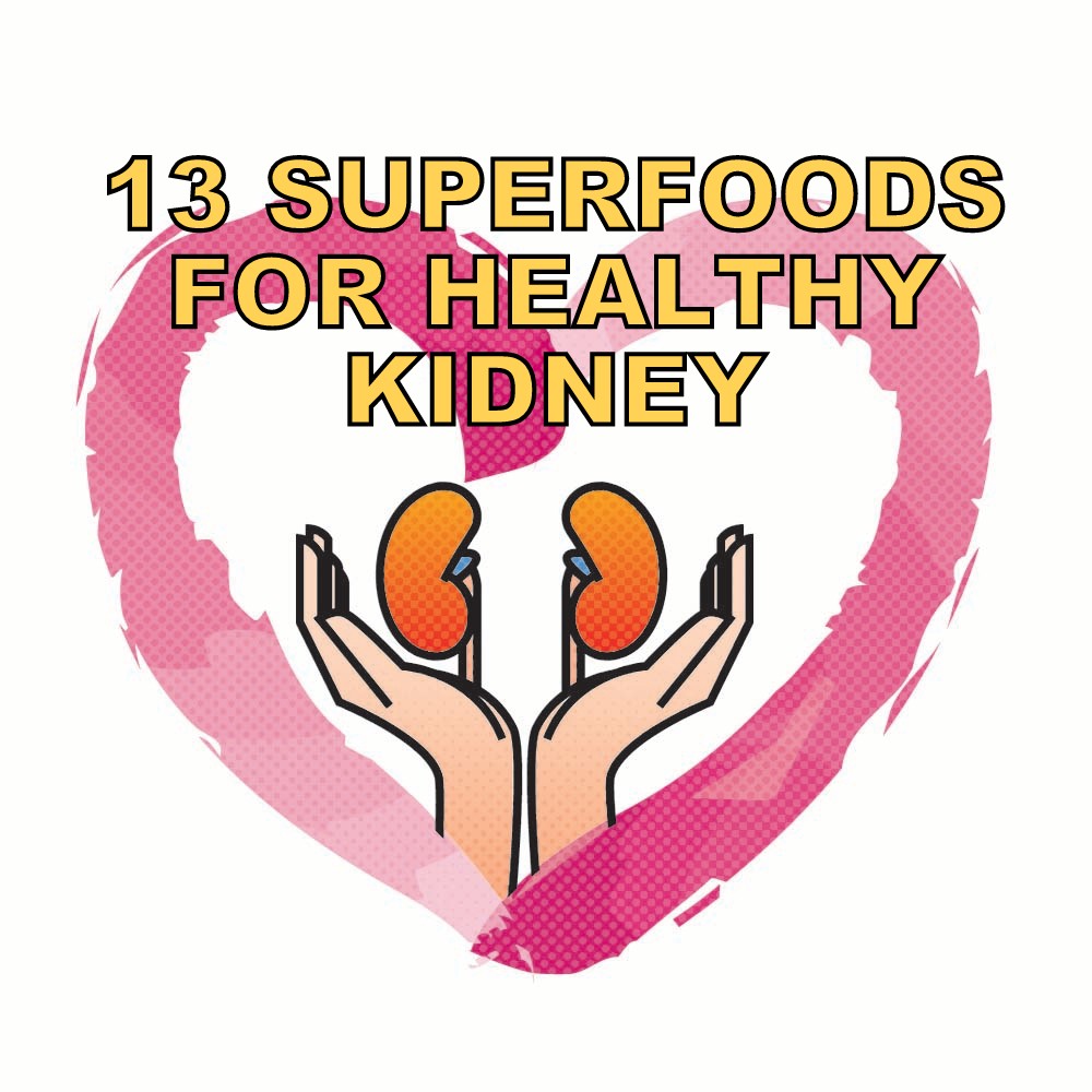 healthy kidney