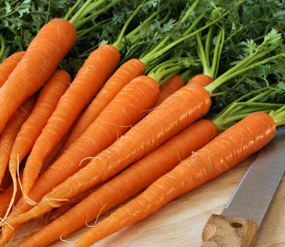 Get rid of diarrhea with carrots