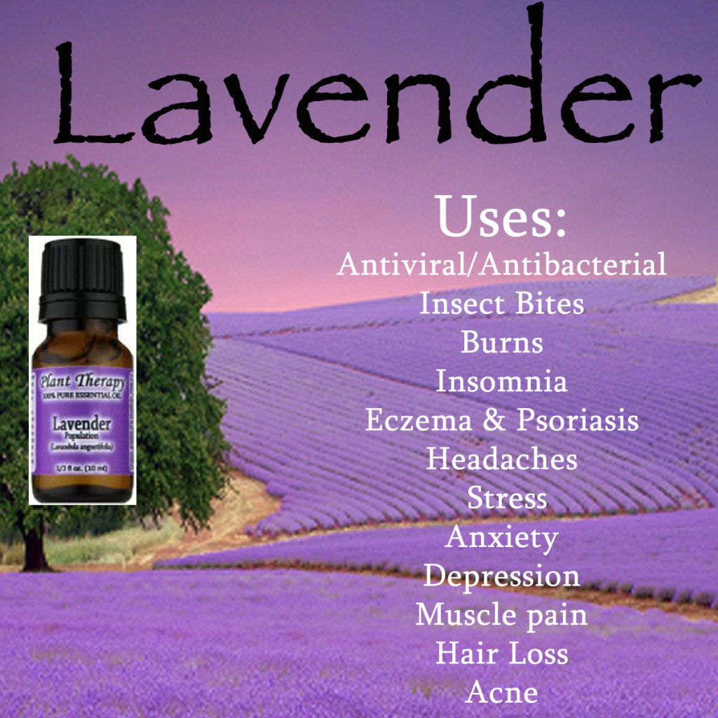 Uses Of Lavender Essential Oil