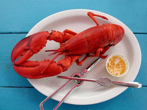 Zinc Rich Foods - Lobster