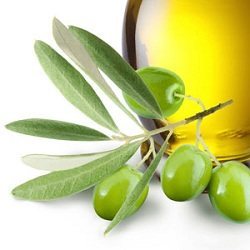 Olive leaves extract