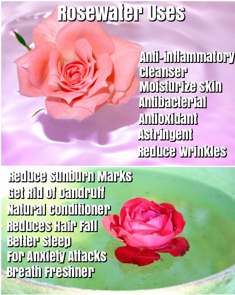 Rose water benefits and uses