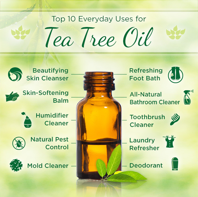 Top 15 Uses of Tea Tree Oil - Health Benefits of Tea Tree Oil