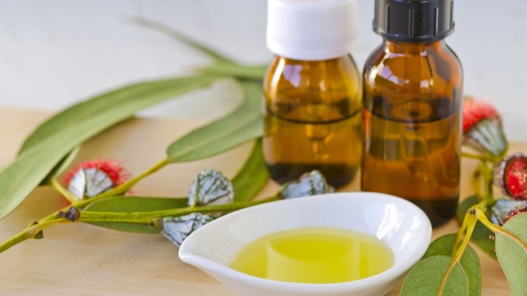 Eucalyptus oil uses