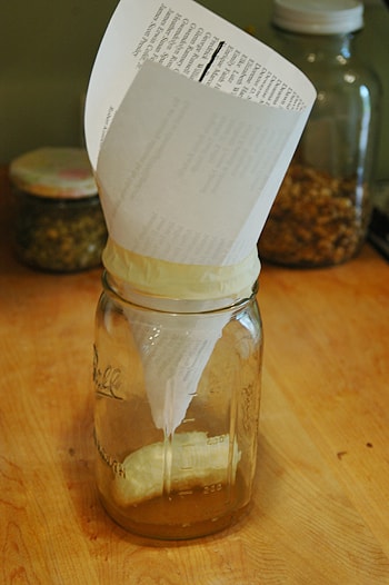 Fruit Fly trap - Paper Funnel