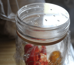 Fruit Jar Trap