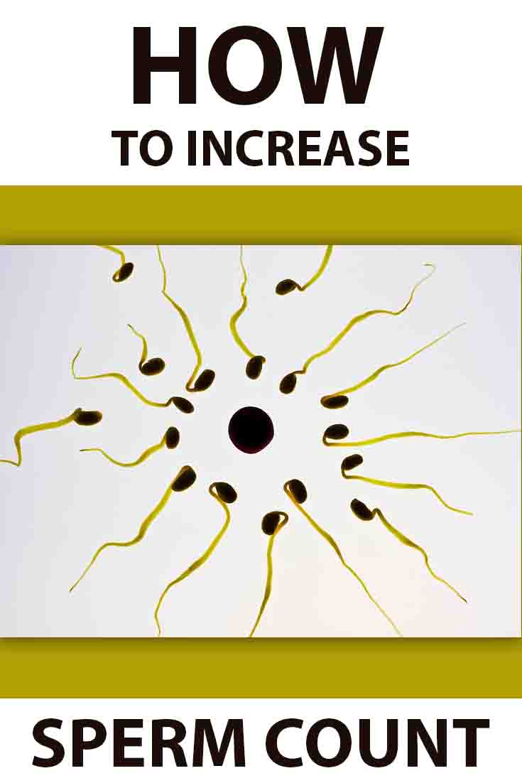 Foods that increase sperm activity